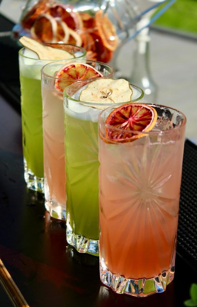 Dried Fruit Chips in Drinks - A Beautiful, Flavorful Upgrade